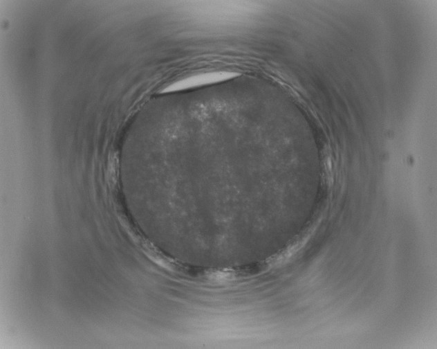 X0000070410325200607072315