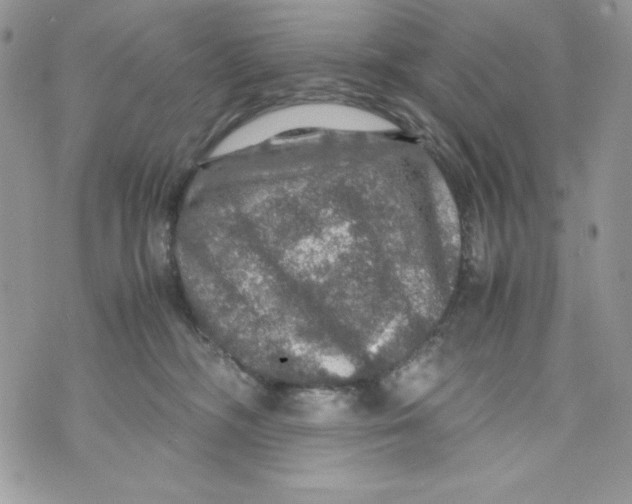 X0000070410326200607072315