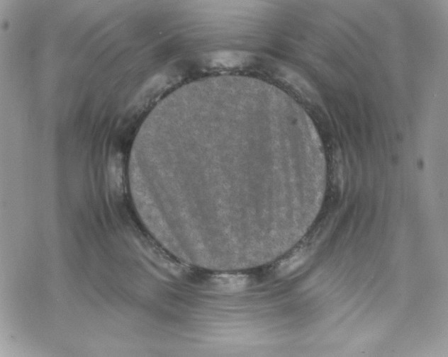 X0000070410328200607072315