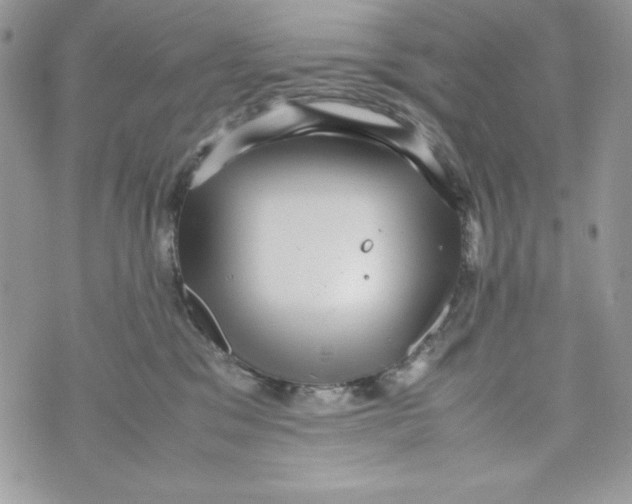 X0000070410329200607072315