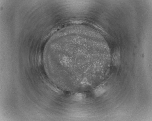 X0000070410330200607072315