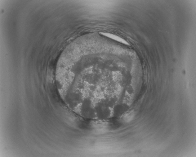 X0000070410331200607072315