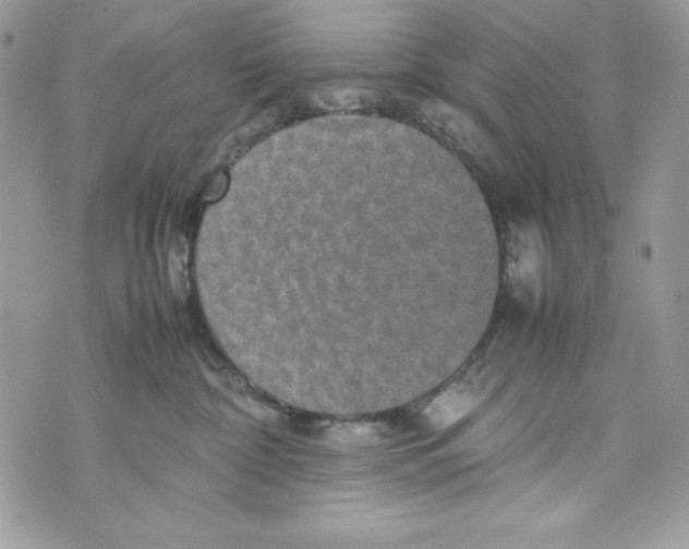 X0000070410332200607072315