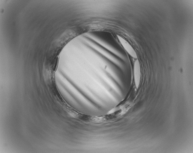 X0000070410333200607072315