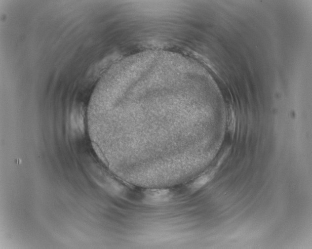 X0000070410334200607072315