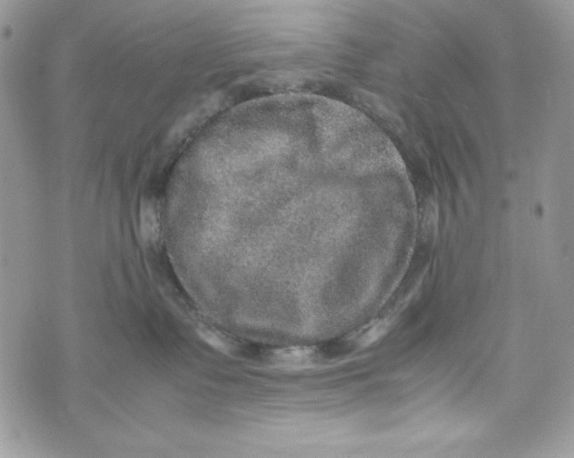 X0000070410335200607072315