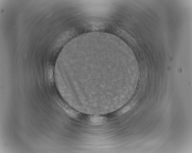 X0000070410336200607072315