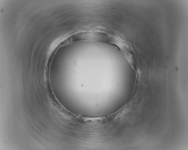 X0000070410340200607072314