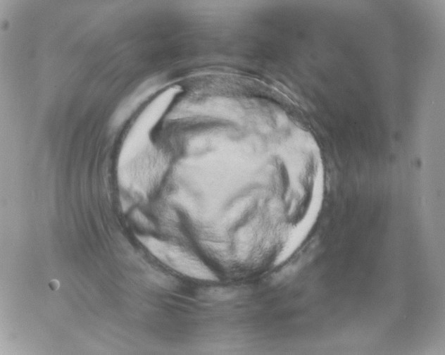 X0000070410341200607072314