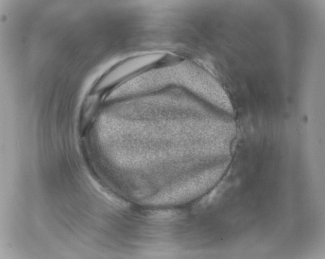 X0000070410342200607072315