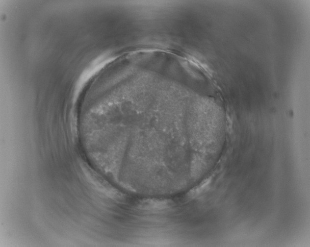 X0000070410343200607072315