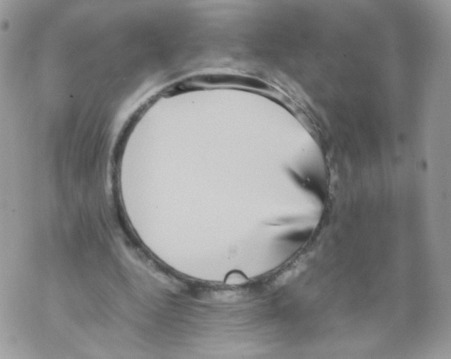 X0000070410344200607072315