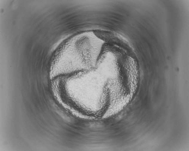 X0000070410345200607072315