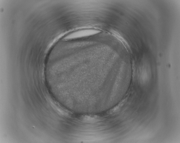 X0000070410346200607072315