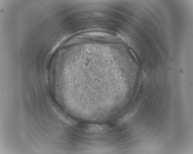 X0000070410347200607072315