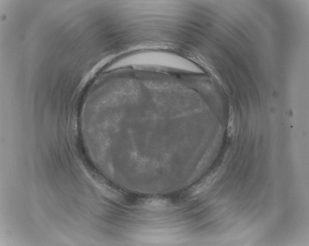 X0000070410348200607072315