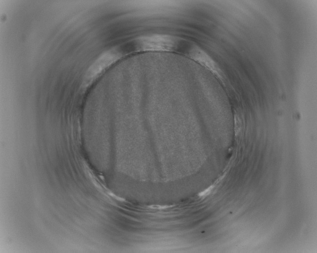 X0000070410349200607072315