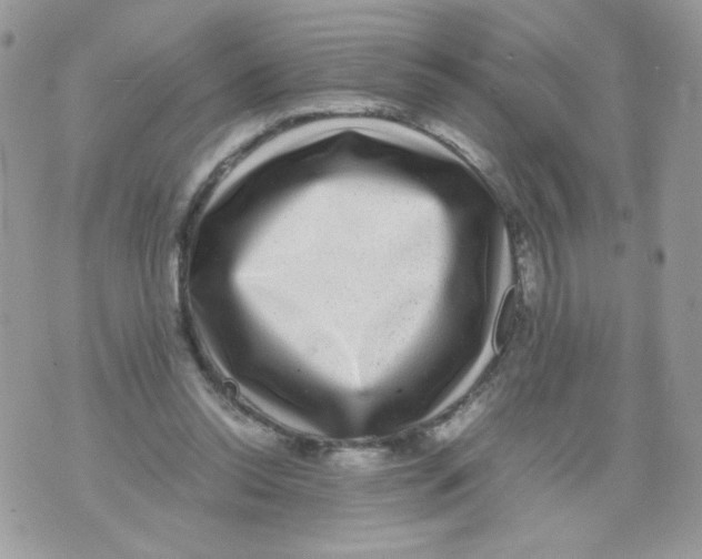 X0000070410350200607072315