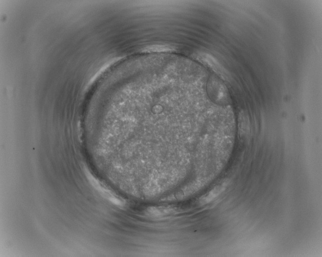 X0000070410351200607072315