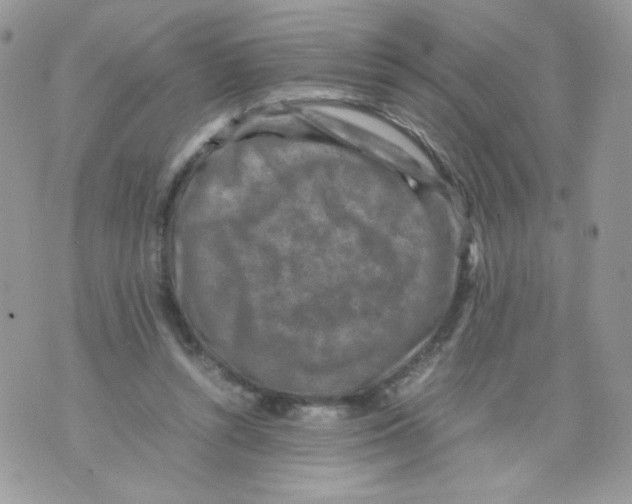 X0000070410352200607072315