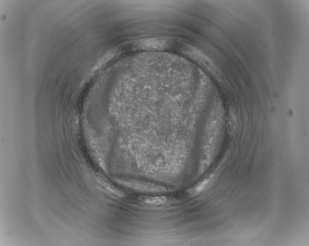 X0000070410355200607072315