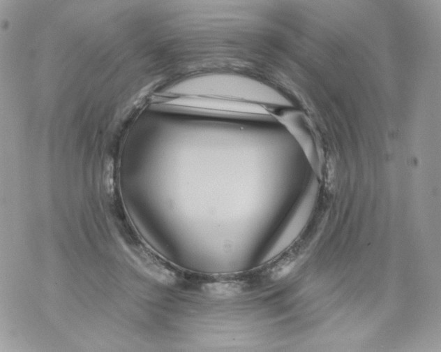 X0000070410356200607072315