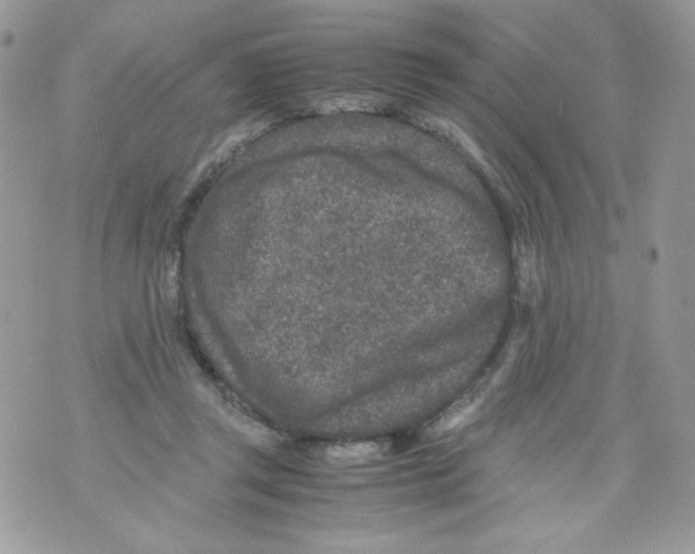 X0000070410357200607072315