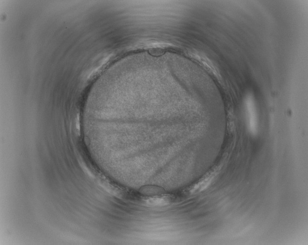 X0000070410358200607072315