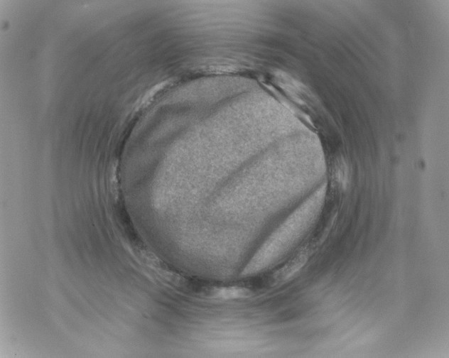 X0000070410360200607072315