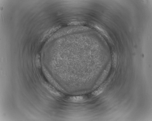 X0000070410361200607072315