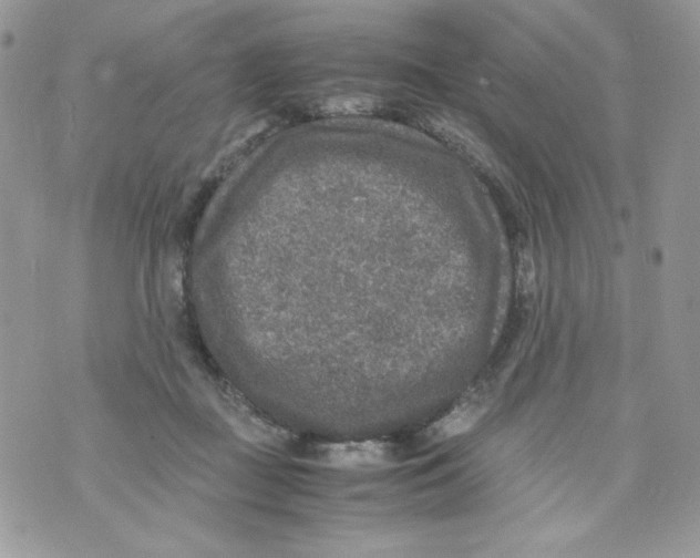 X0000070410363200607072315