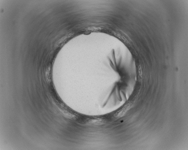 X0000070410364200607072315