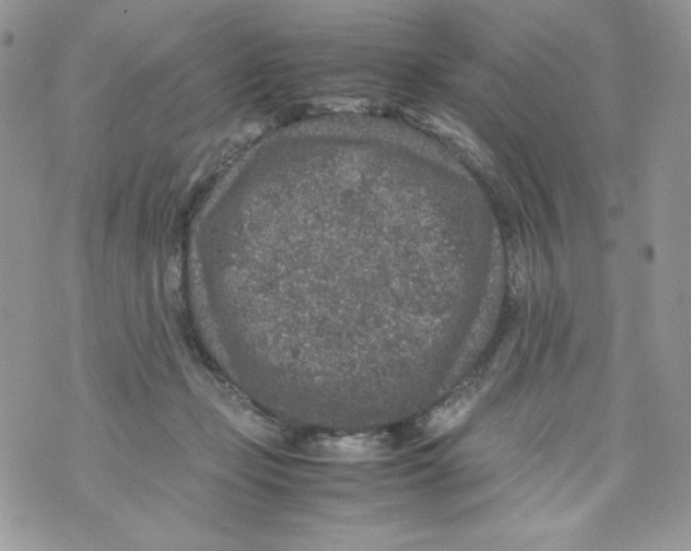 X0000070410365200607072315