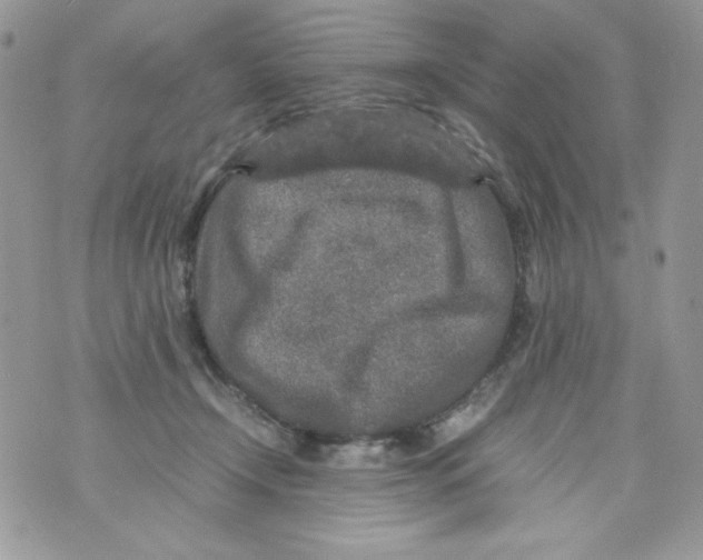 X0000070410366200607072315