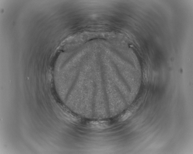 X0000070410367200607072315