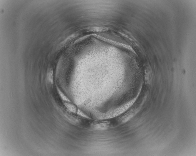 X0000070410368200607072315