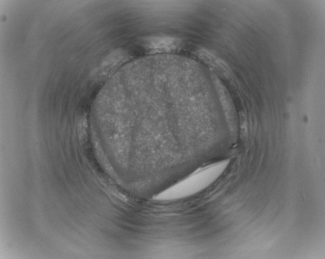 X0000070410369200607072315