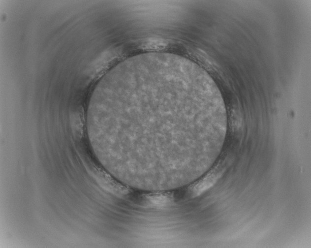 X0000070410370200607072315