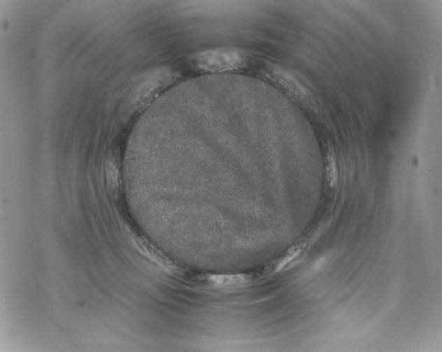 X0000070410371200607072315