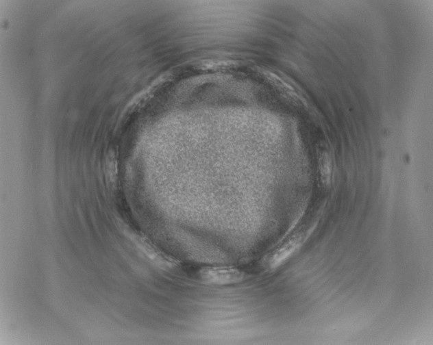 X0000070410372200607072315