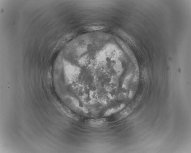 X0000070410373200607072315