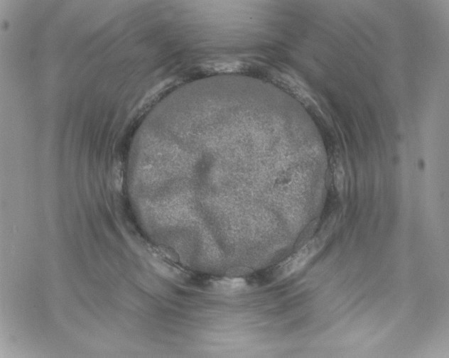 X0000070410374200607072315