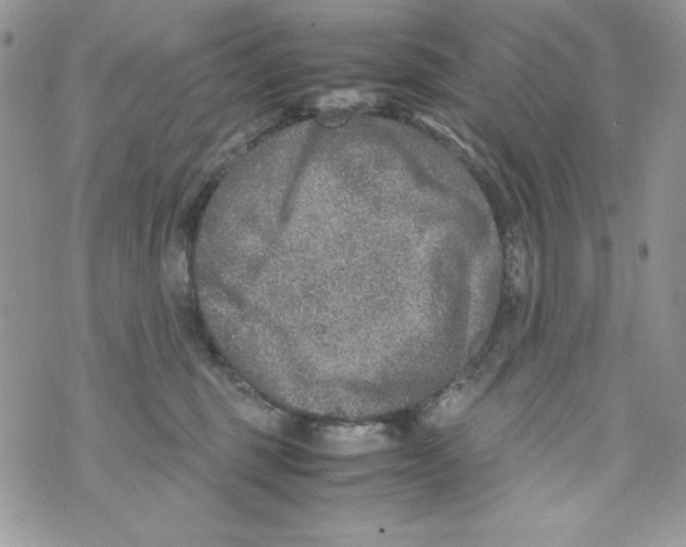 X0000070410375200607072315