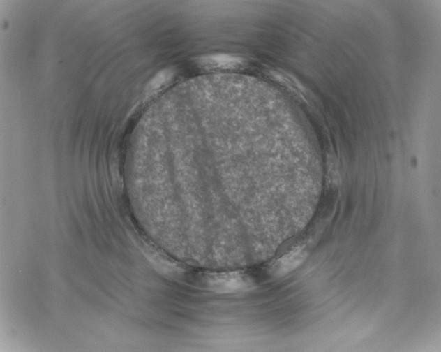 X0000070410377200607072315