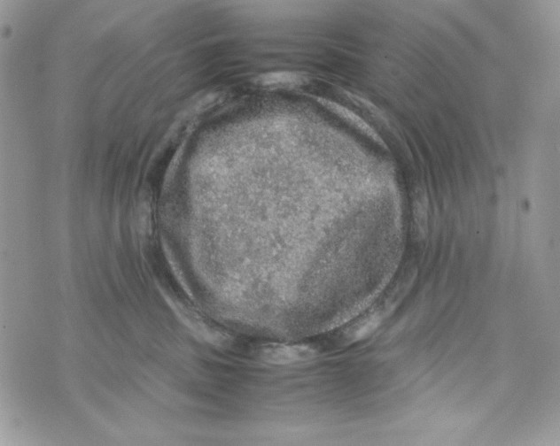 X0000070410379200607072315