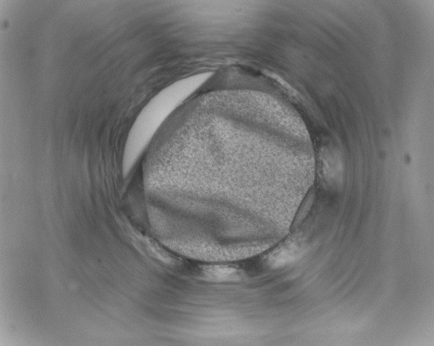 X0000070410380200607072315