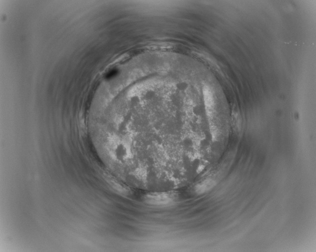 X0000070410381200607072315