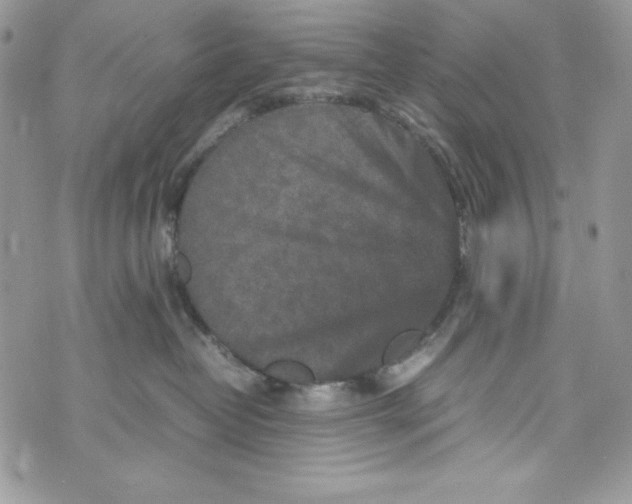 X0000070410382200607072315