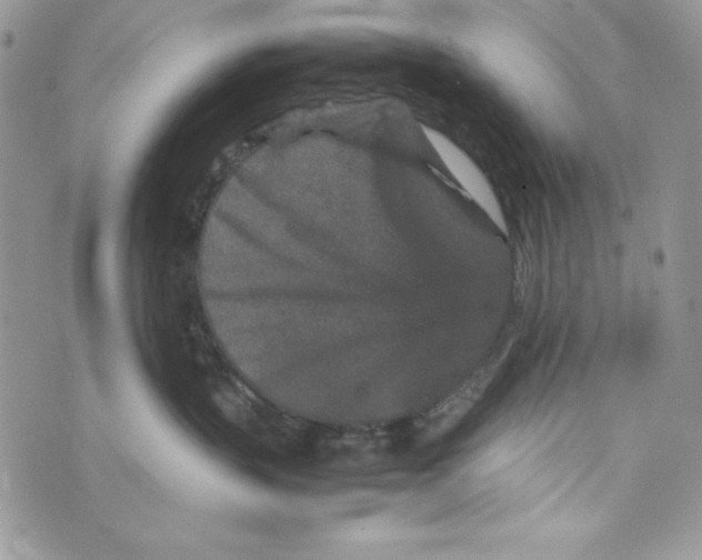 X0000070410383200607072315