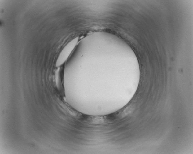 X0000070410384200607072315